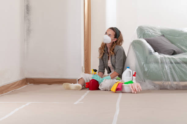Reliable Basement Mold Remediation contractor in Woodbine, GA by Mold Remediation HQ